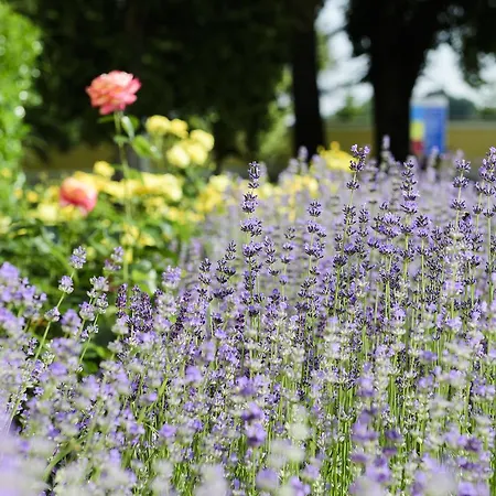 Hertelendy Kastely Exclusive Отель 5*