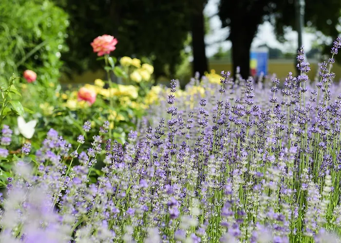 Hertelendy Kastely Exclusive Ξενοδοχείο 5*